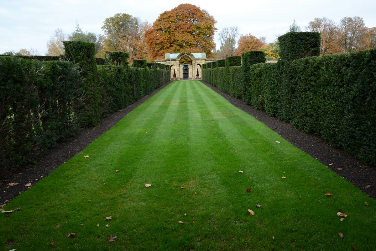 Gepflegter Garten mit Rasen und Hecken